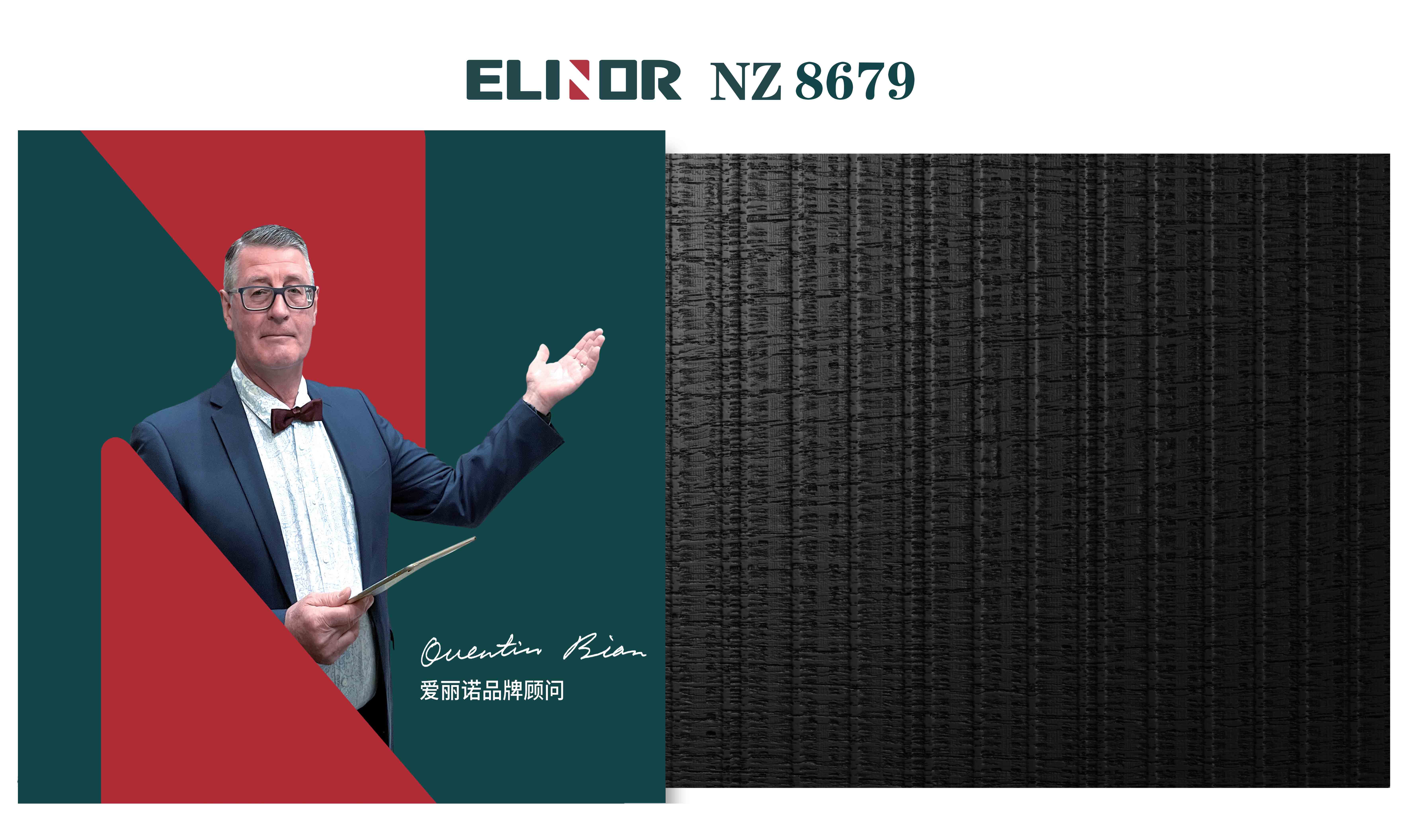 NZ8679 ¥528