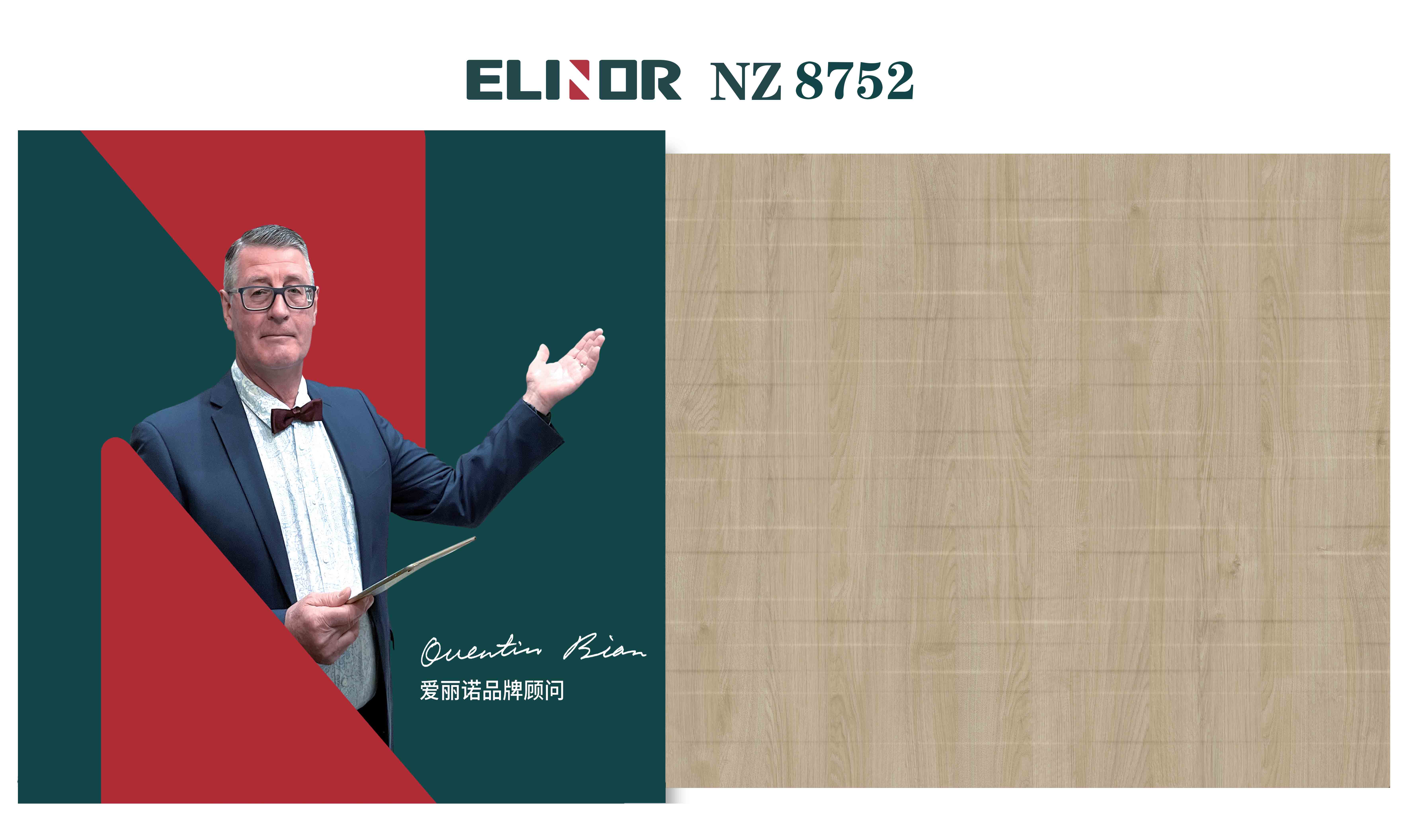 NZ8752 ¥528