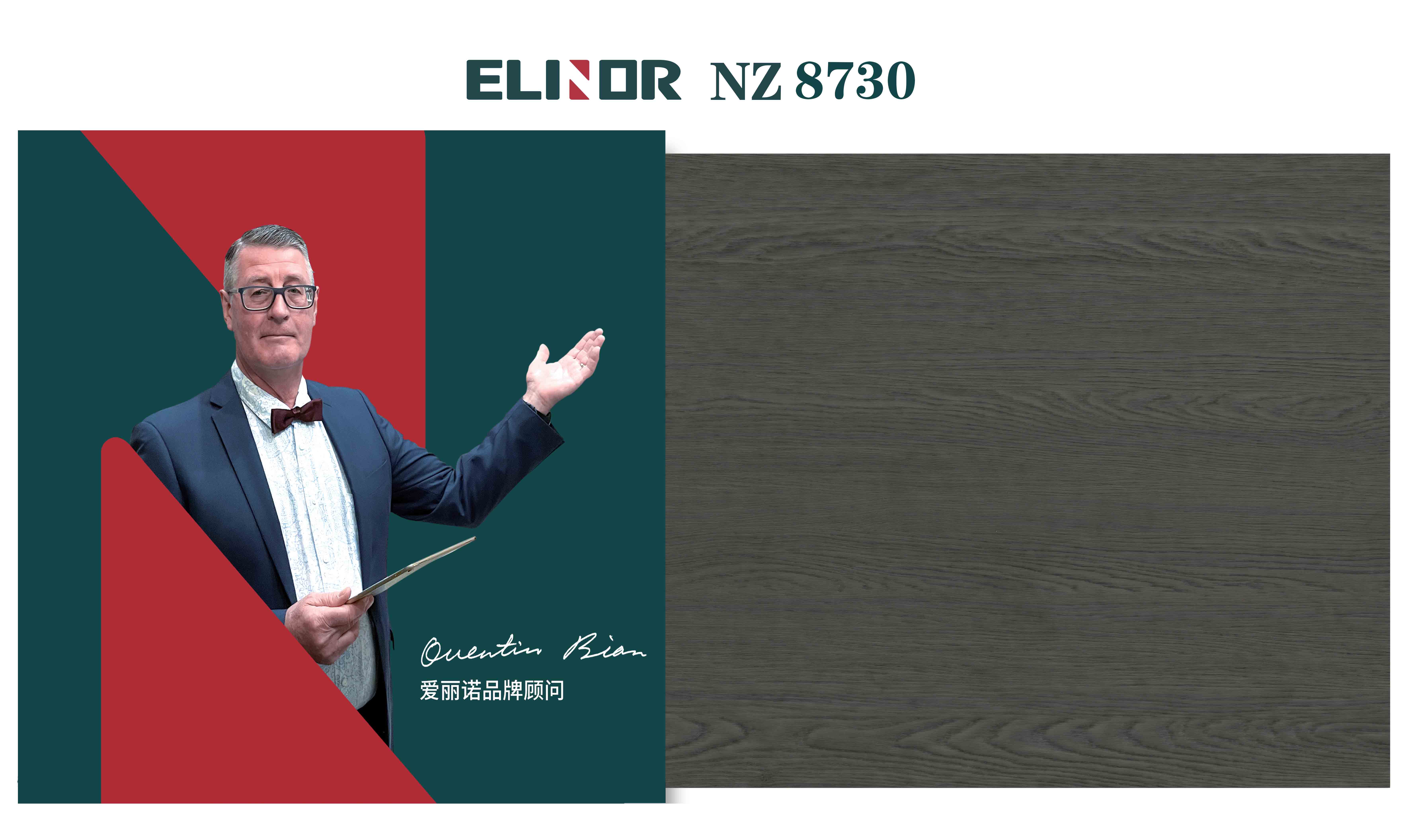 NZ8730 ¥528